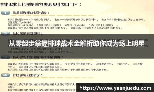 从零起步掌握排球战术全解析助你成为场上明星